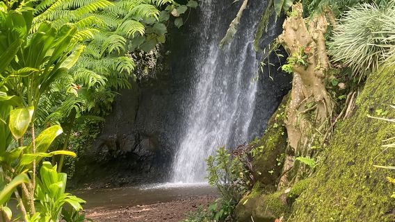 Penemuan Pulau Tahiti Nui
