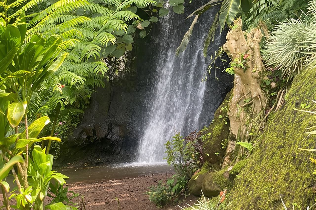 Discovery of Tahiti Nui Island 