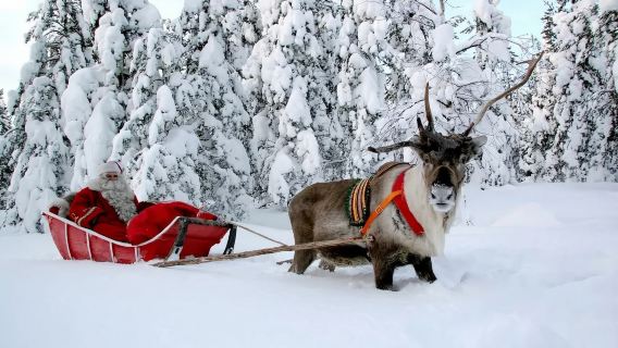 Россия|Саамская деревня: катание на оленьих упряжках + знакомство с шаманскими традициями|индивидуальный трансфер/аренда автомобиля с водителем/входной билет в подарок&