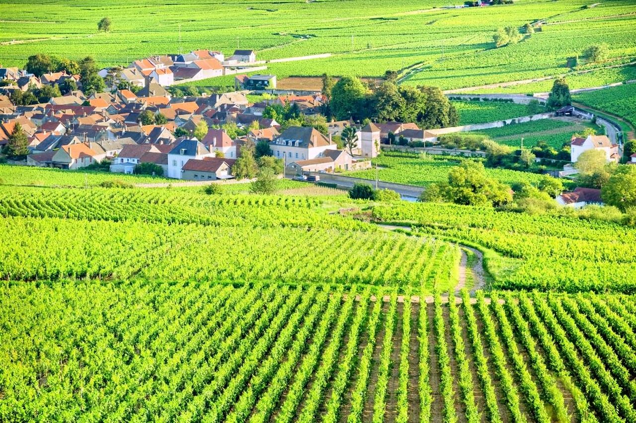 法國波爾多聖埃米利永+拉圖酒莊+白馬酒莊一日遊