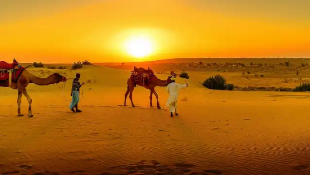 Agafay Desert Sunset, Camel Ride and Dinner from Marrakech