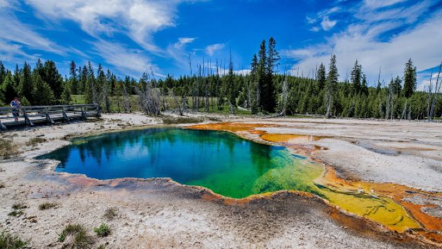 美國黃石國家公園老忠實間歇泉一日遊/行程可調-可訂製多日遊