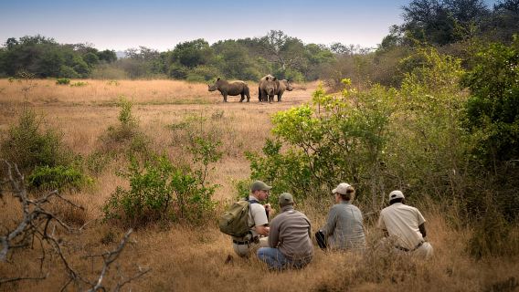 Victoriafälle: Wandersafari