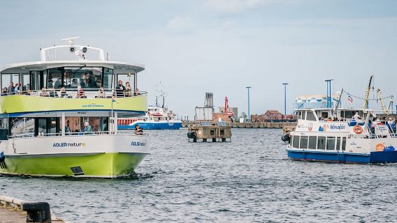 Wismar: Bootsfahrt zur Insel Poel