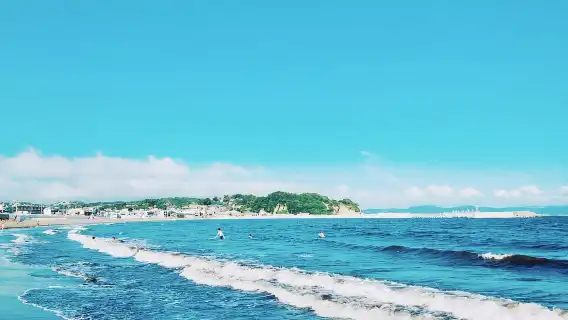 東京:鎌倉、江ノ島、電車の旅、大仏