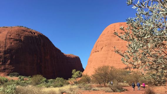 Kata Tjuta: Excursión al amanecer en grupos pequeños con desayuno tipo picnic