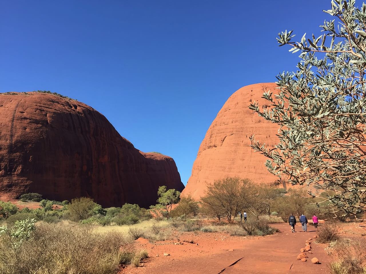Kata Tjuta: ทัวร์ชมพระอาทิตย์ขึ้นแบบกลุ่มเล็กพร้อมอาหารเช้าแบบปิกนิก