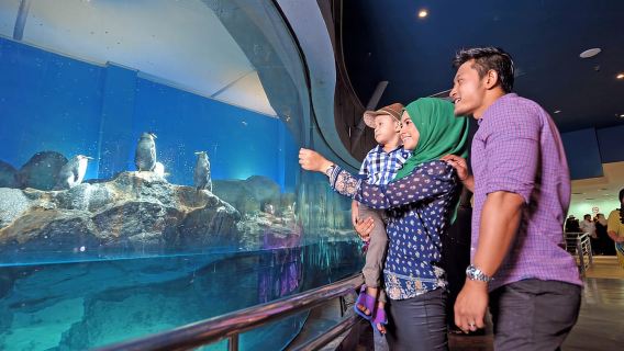 ランカウイのアンダーウォーターワールド入場券