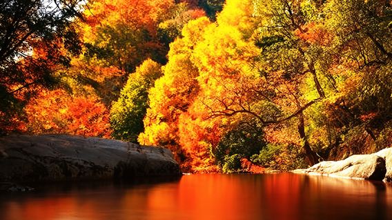 米倉山包車遊【（漢中出發）光霧山米倉山十八月潭包車遊】