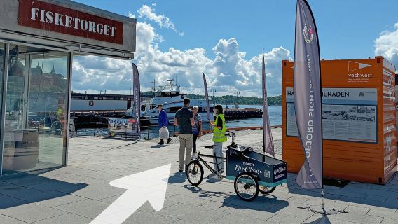 Oslo: crociera turistica 100% elettrica sul fiordo di Oslo