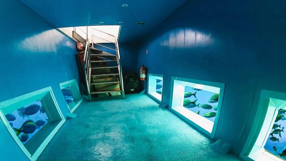 From Alicante: Roundtrip to Tabarca Island