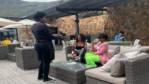 Excursión de día completo a los viñedos de Stellenbosch a medida