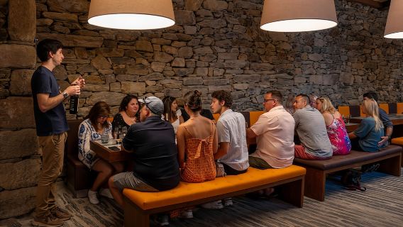 Porto: Douro Valley Wine Tour with Lunch, Tastings & Cruise