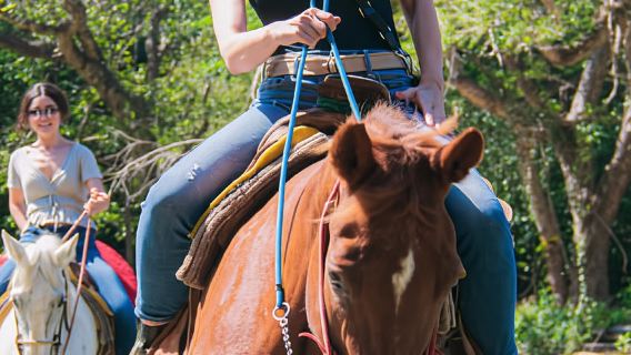 Puerto Vallarta: Horseback Ride to Mountain Waterfalls