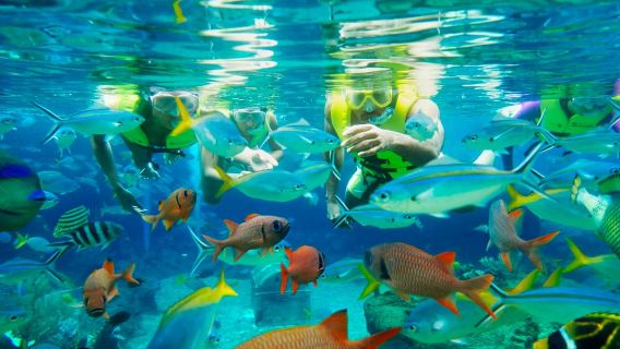 Singapore: Adventure Cove Waterpark Entrance Ticket