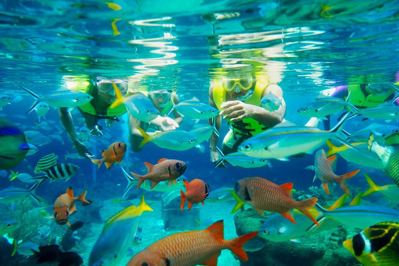 Singapur: Eintrittskarte für den Adventure Cove Waterpark