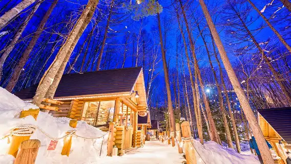 ทัวร์ 1 วัน บิเอะอาซาฮิกาวะ ฮอกไกโด|ทัวร์กลุ่มเล็ก 9 คน/ทัวร์รถบัส|อาจรวมตั๋วเข้าสวนสัตว์