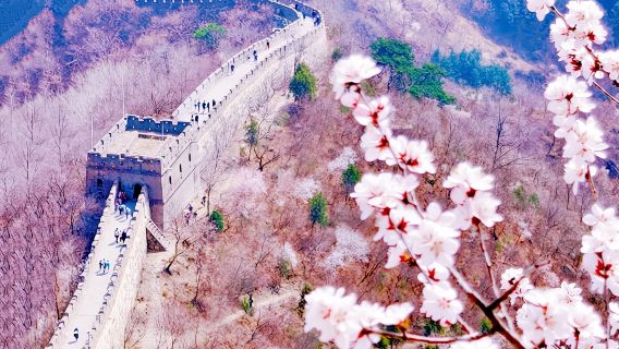 北京慕田峪長城ワンデーツアー【午前8時~10時出発◆貸切貸切チャーター可】