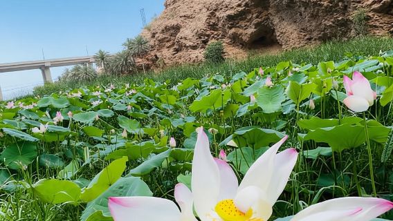 Mascate: excursión de un día a Wadi Shab, cueva romántica y sumidero