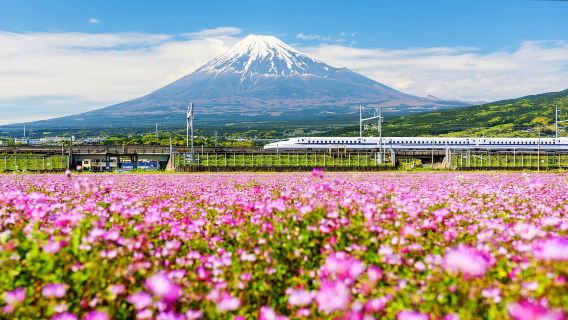 Thẻ đi tàu Nhật Bản (Japan Rail Pass)|7 ngày|14 ngày|21 ngày|Thẻ đi tàu thường|Thẻ Xanh