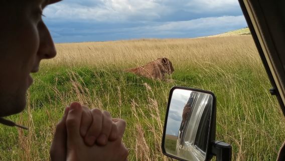 ซาฟารีครึ่งวันที่อุทยานแห่งชาติไนโรบี เคนยา (เริ่มต้น 2 ท่าน + เลือกใช้รถจี๊ปได้)