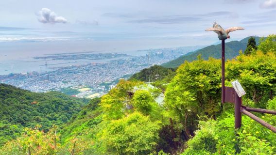 日本神戶+六甲山+有馬溫泉一日遊