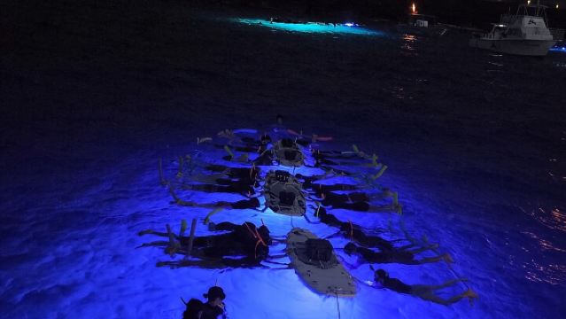 Resplandor de las profundidades: Snorkel nocturno con mantarrayas