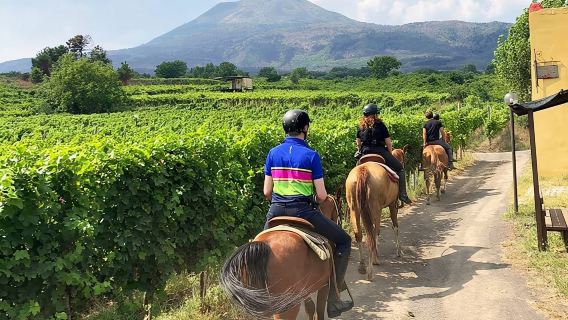 Pompeii Guidet tur & ridetur på Vesuvius med frokost