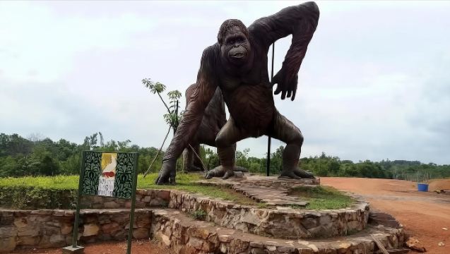 印尼民丹島動物園【新加坡民丹島半日遊 動物園 含接送】