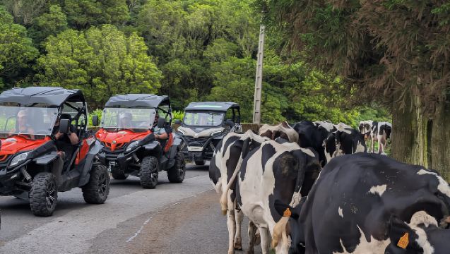 เซา มิเกล: ทัวร์รถบักกี้ เซเต ซิดาเดส