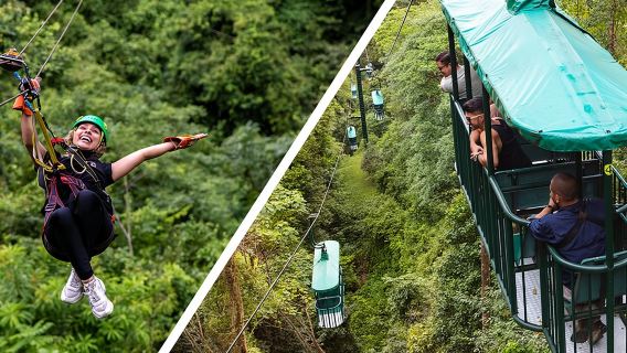 Aerial Tram & Zipline Tour Jacó – Rainforest Gardens & Trails