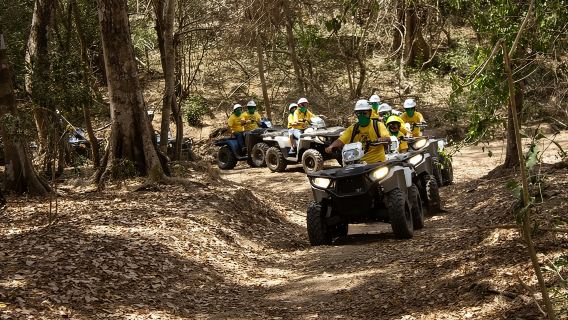 Jungle double ATV Tour "El Mirador" (ride tandem on ATV)