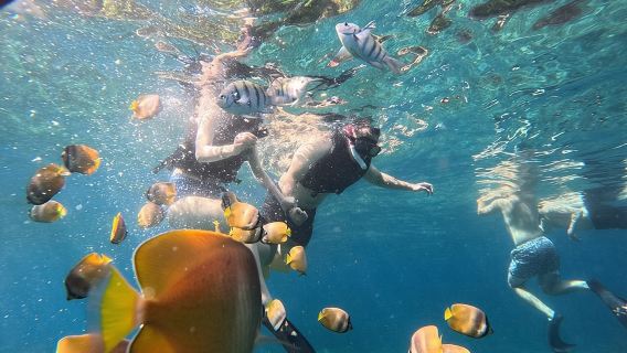 Andre Professional Blue Lagoon Snorkeling Ticket And Transfer