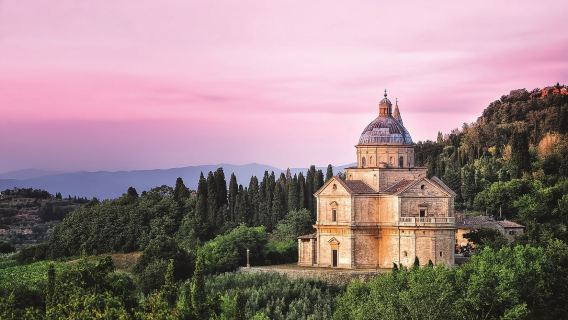 Val D'Orcia: Wine Tasting Tour + Roundtrip from Siena