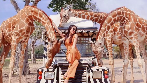 サファリ パーク ワンデーツアー【手軽な旅/車の種類から選択可能/ホテル送迎付き】