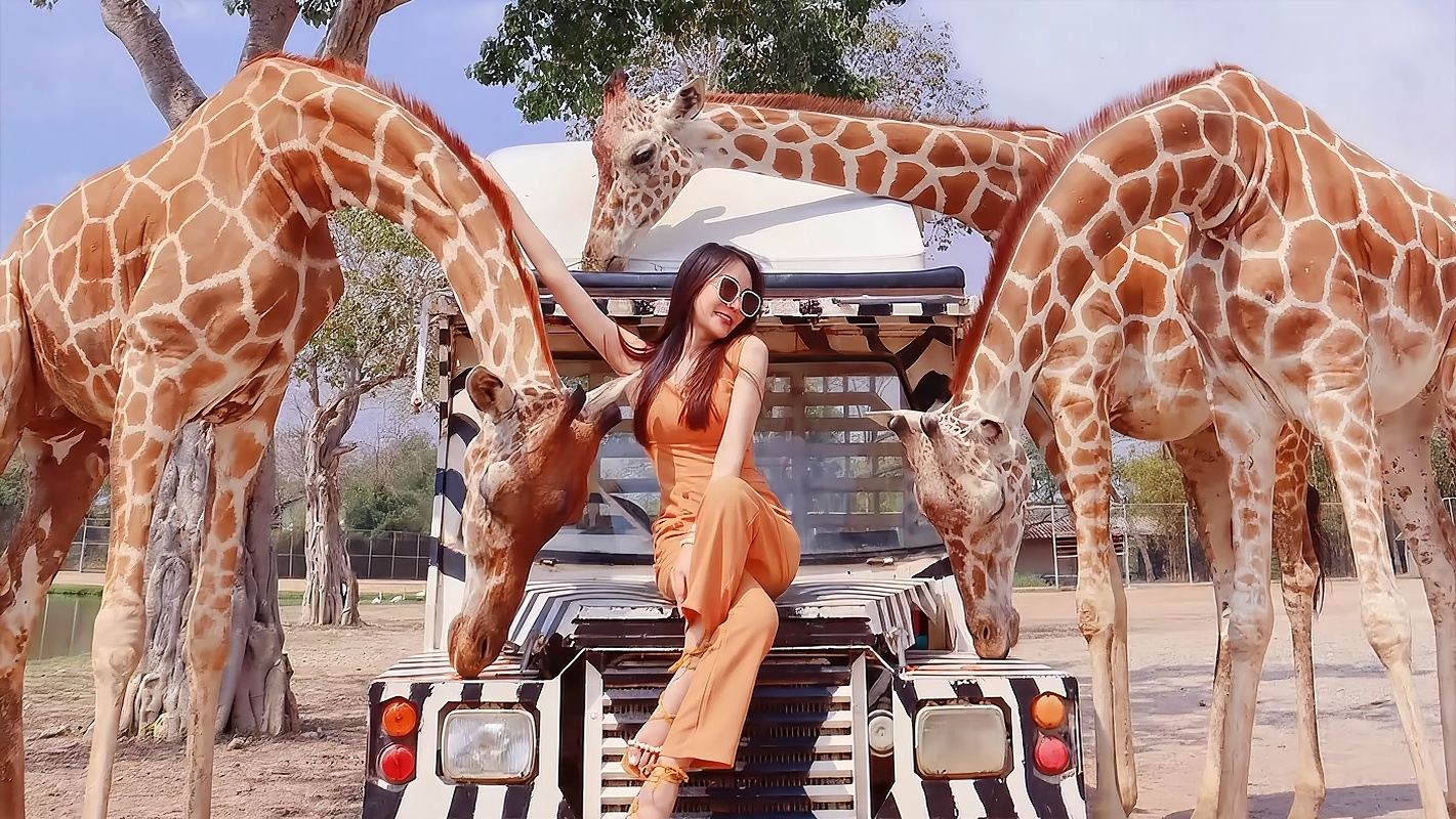 1-day tour to Safari Park Kanchanaburi [Hassle-free tour/Multiple vehicle types available/Hotel transfer]