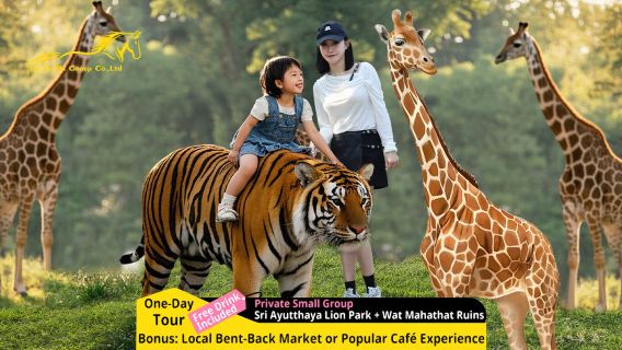 아유타야 라이온 킹 동물원 + 마하탓 사원 프라이빗 차량 투어: 기린 사진 촬영 및 호랑이 산책으로 업그레이드