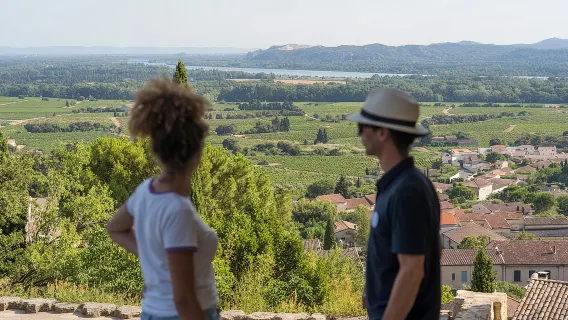 Nachmittags Weintour von Avignon nach Chateauneuf du Pape