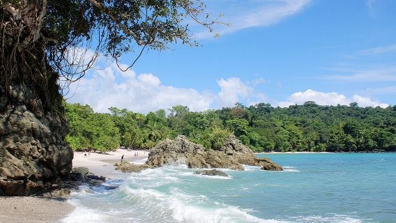 Tagesausflug zum Manuel-Antonio-Nationalpark ab San José