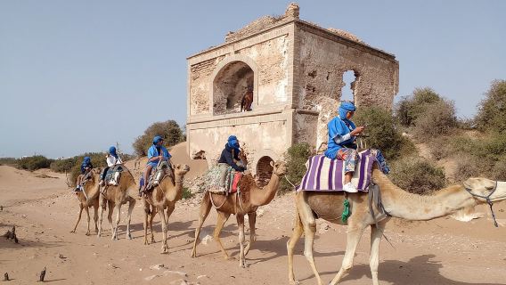 Camel ride or quad bike ride.. pick up, drop off. including