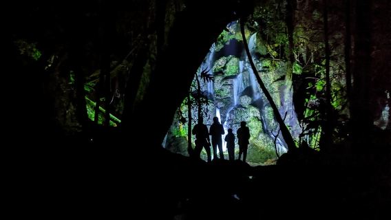 Nocturnal adventure Glow-worm tour