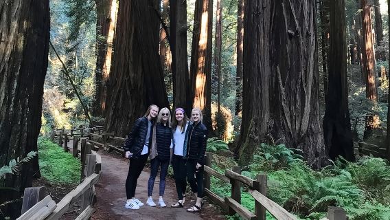 Muir Woods and Golden Gate Bridge 3-hour Private Group Tour
