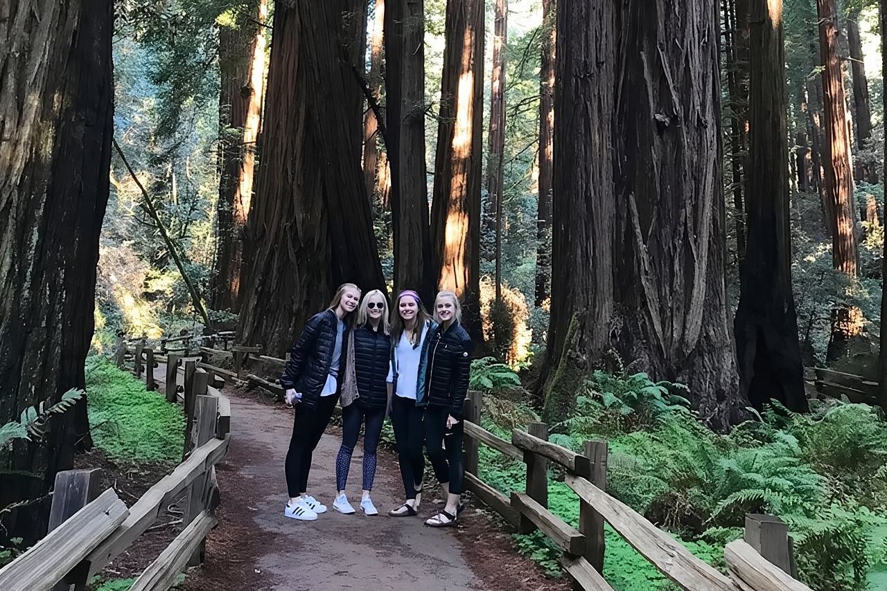Private Muir Woods Tour + Golden Gate Bridge Stops (3 Hrs, Max 6)