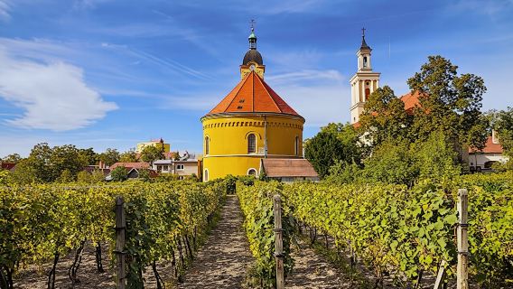 Small Carpathian wine tour from Bratislava