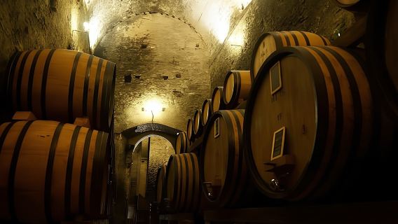 Wine Tasting and Guided Tour of Wine Cellar in Montepulciano