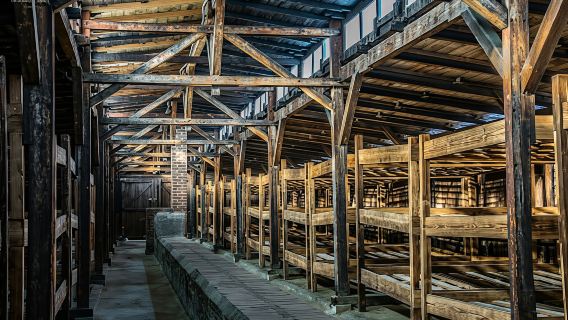 Deutsche Führung durch Auschwitz-Birkenau mit Hotelabholung