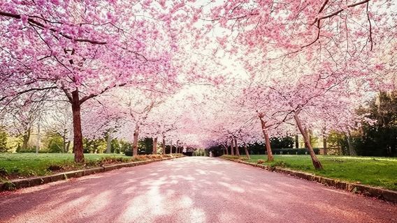 哥本哈根BispebjergCemetery+克倫堡+博物館