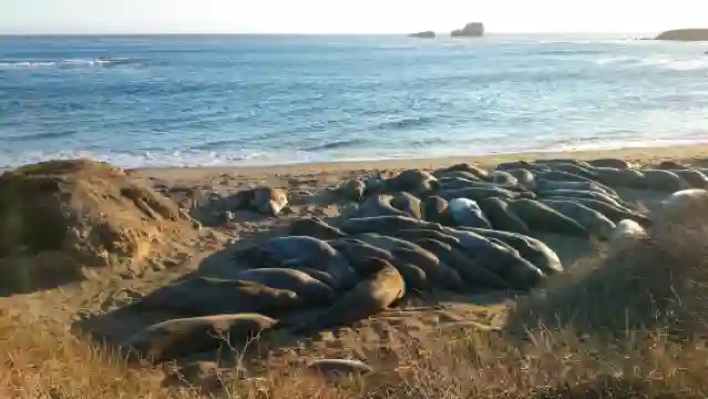 美國一號公路舊金山-洛杉磯全路段/行程靈活客製化/諮詢享減
