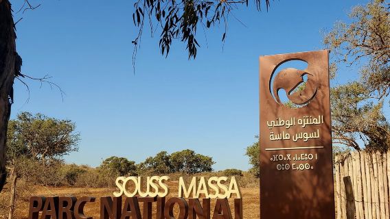 Excursiones al Parque Nacional de Souss Massa