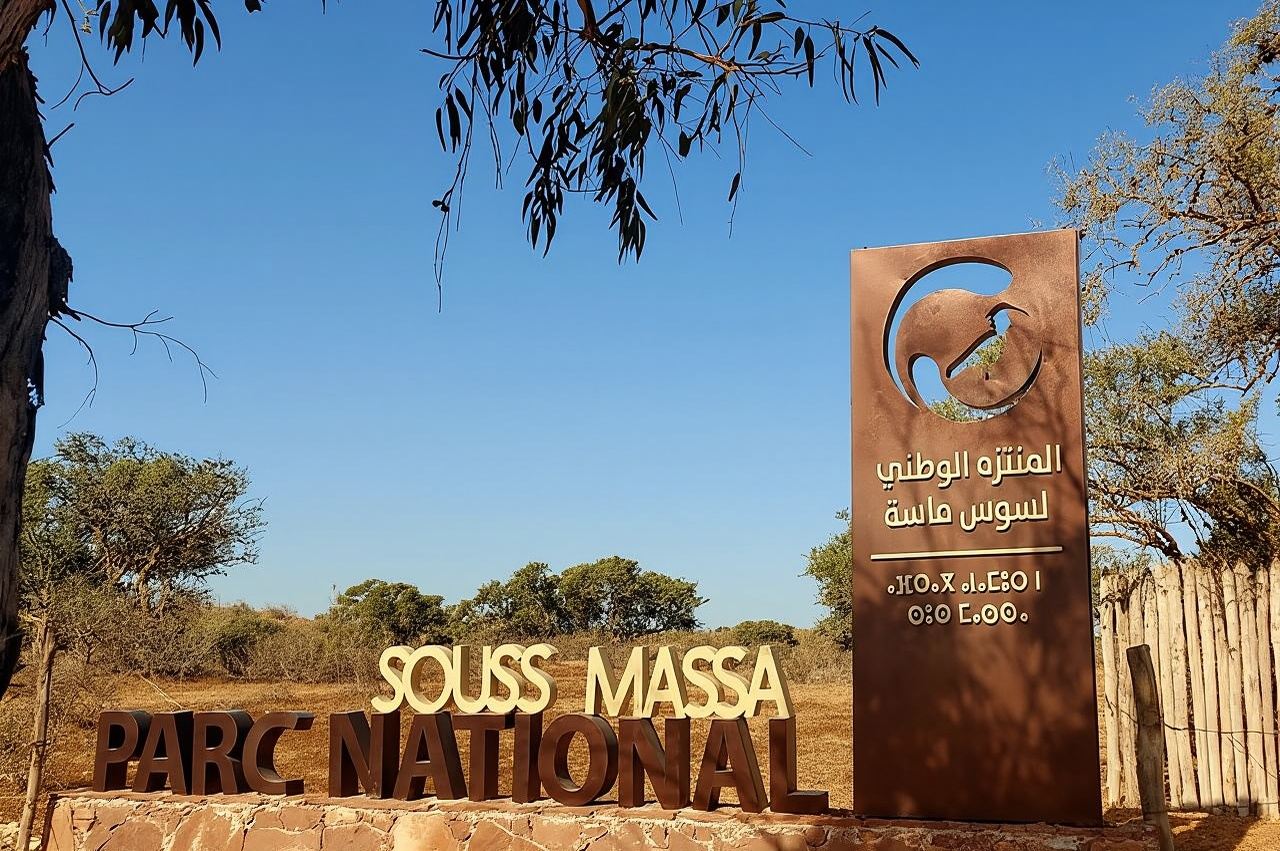 Excursiones al Parque Nacional de Souss Massa